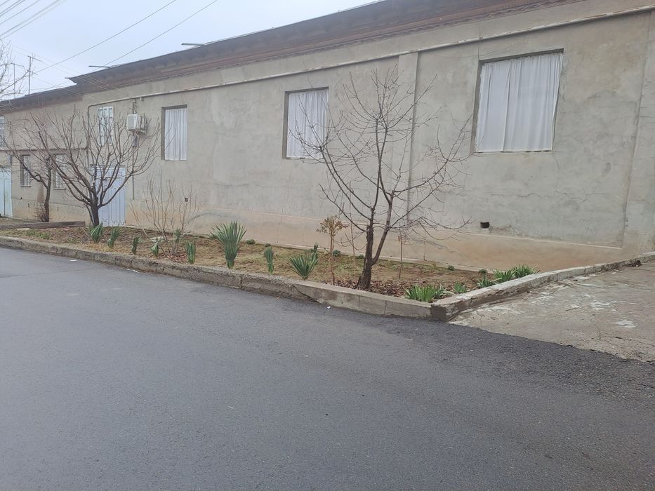 Toshkent shaxar Uchtepa tumani orikzor maxxalas