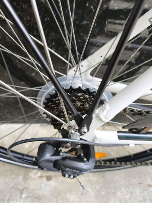 Pegasus 28 Germaniya velosipedi