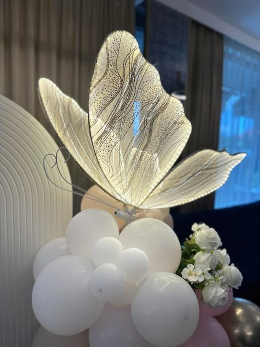 Всичко за партито на половин цена - под наем! София!