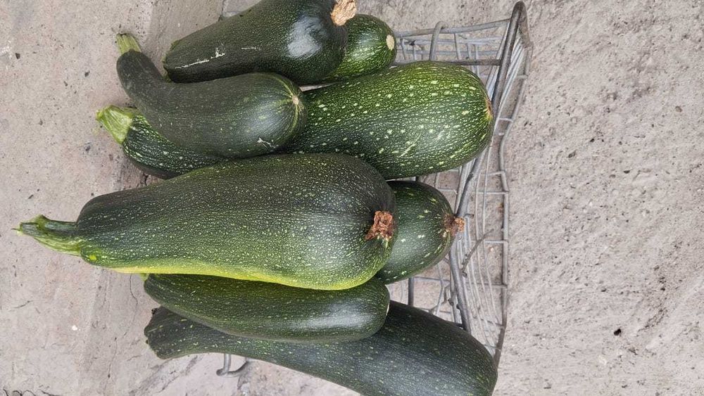 Кабачки Цуккини без семечек
