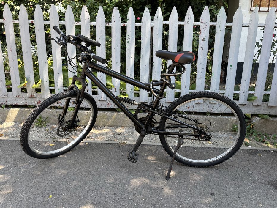 Bicicleta de oras
