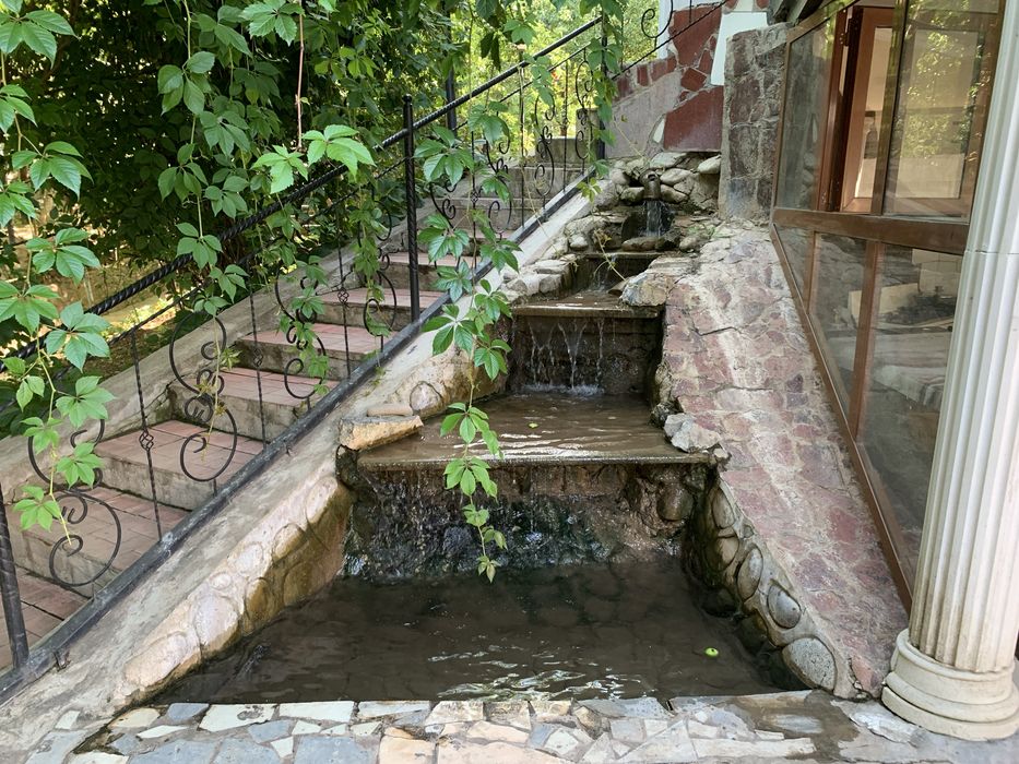Dacha burchmula full