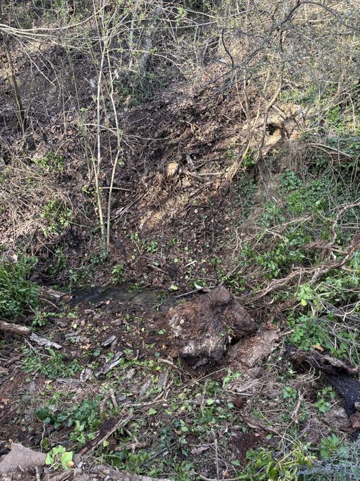 Косене на трева | Рязане на дървета | Почистване | Извозване .
