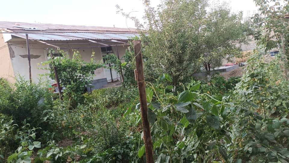 8 so'tik 4 xonali uy