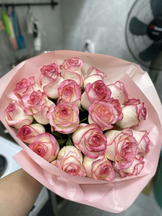 Розы свежие красивые