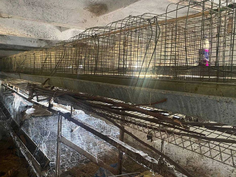 800 бош товук учун ин ( катак )  сотилади. Tovuq in ( katak ) sotiladi