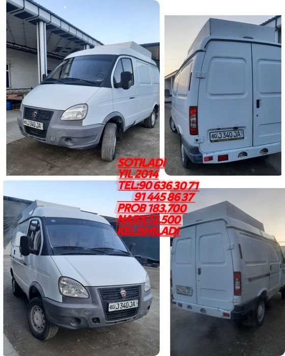 Gazel cobal gurzavoy