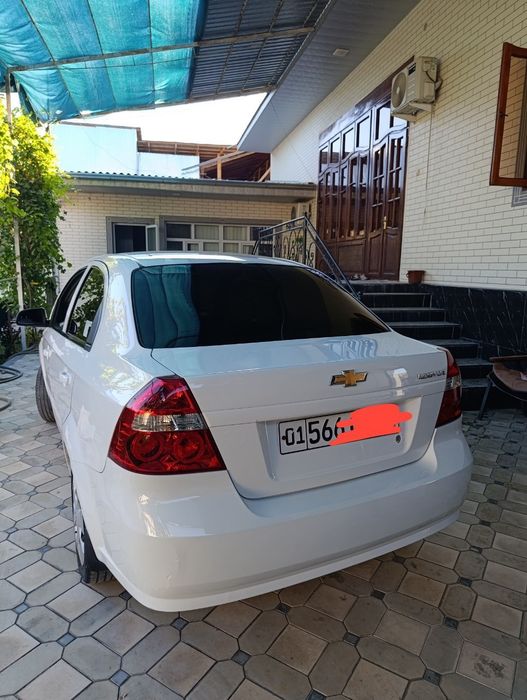 Nexia 3 kraska toza