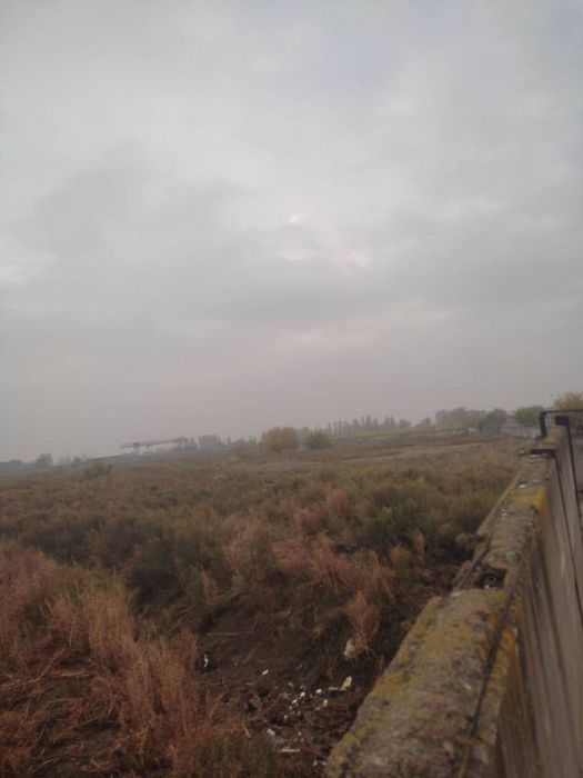 Продаётся территория Туй тепа.