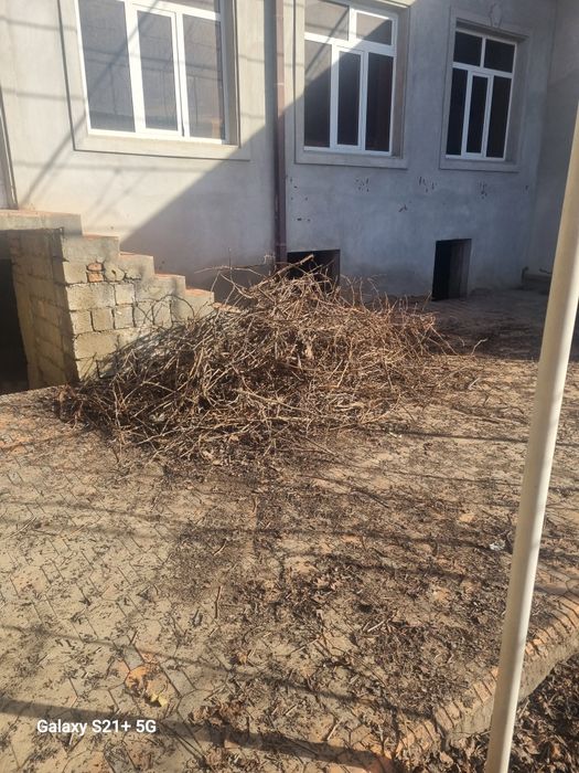 Утин-Хезум бепул,Самовывоз