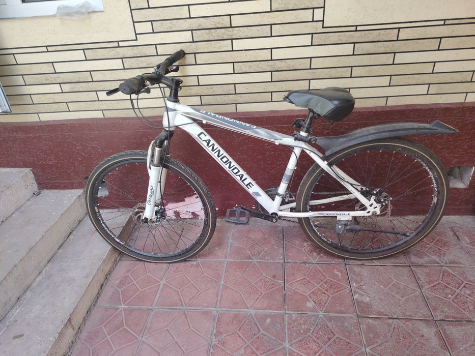Velosiped haydalgan
