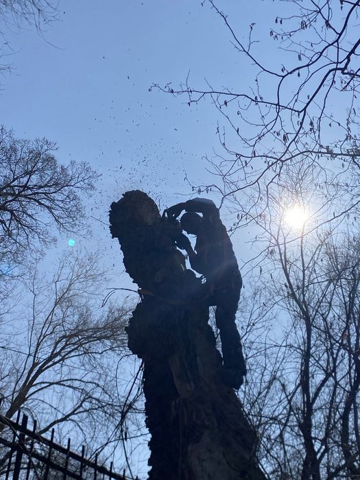 Спил деревьев Обращайтесь