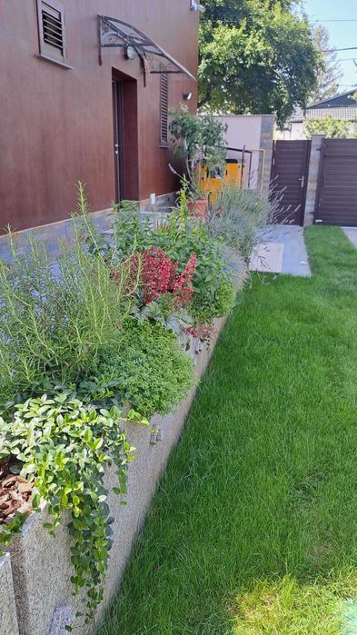 Amenajare curte,gazon rulou,insamantare