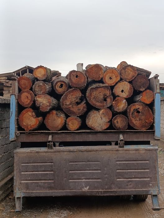 O’tin дрова сухой утин.