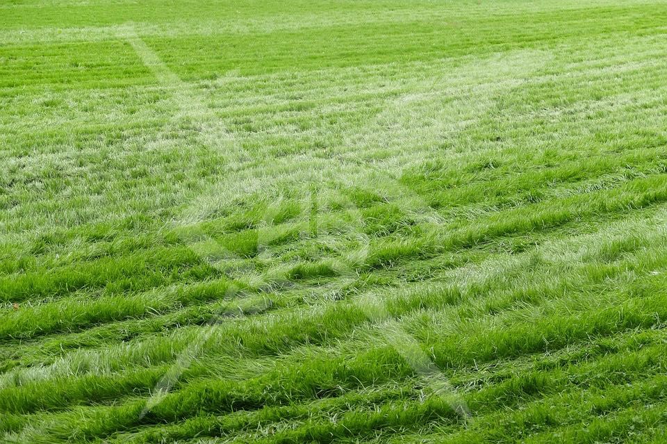 Парцел в Беломорски! 97815