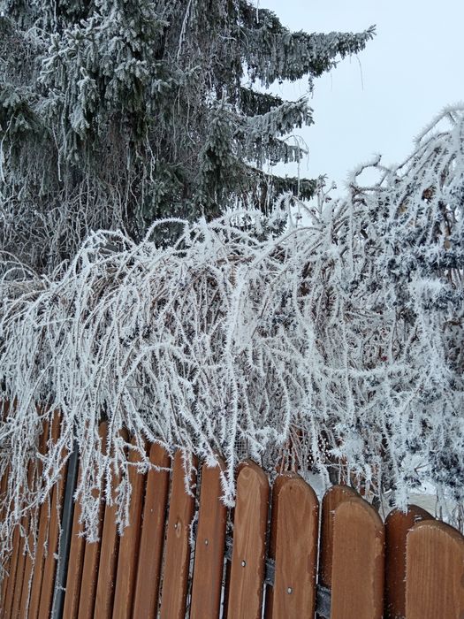 Продам дом в Бишкуле