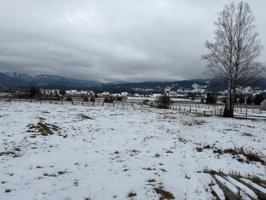 Proprietar: 9.616 mp Teren Neagra Șarului