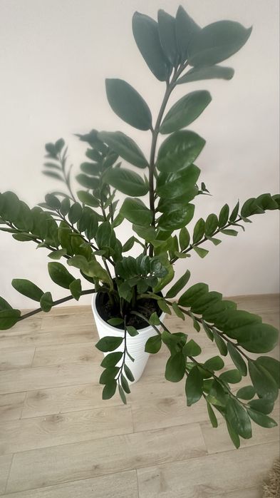 Срочно, все за 20 тыс. тенге