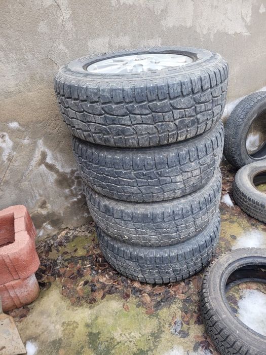 Диска жаксы балондары средний