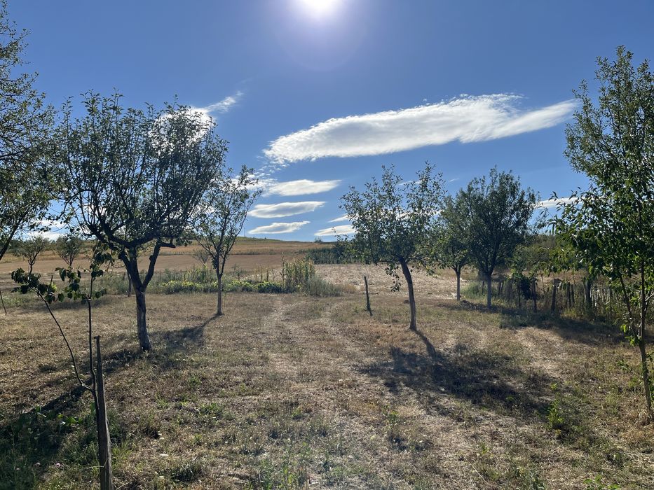 De vanzare casa in Borumlaca, com. Suplacul de Barcau