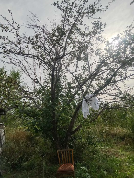 Продам дачный участок СРОЧНО