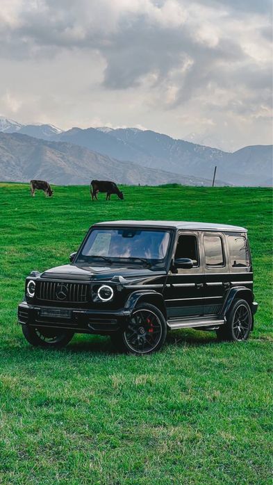 Трезвый водитель