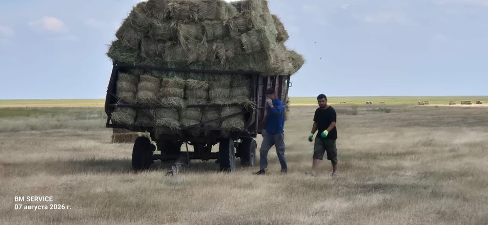 Продам Сено в тюках