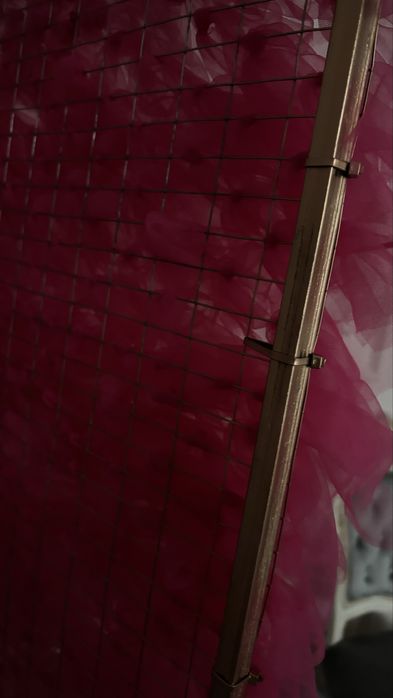 Баннер, Фотозона