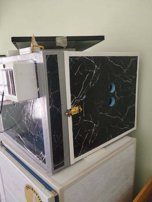 Туйакуш тухимни очириш инкватор