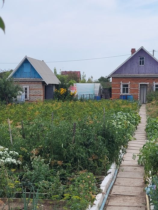 Продам дачу "Вавилова"