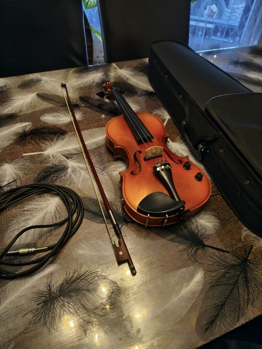 Vioara electrica 4/4