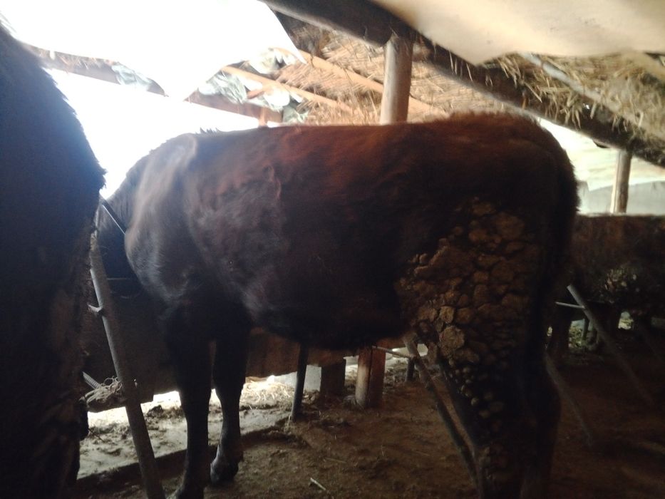 Продам.  Продам .