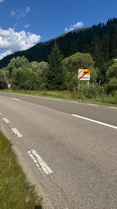 Teren intravilan 5.925 m² – Călinești (Dorna Arini, Suceava)