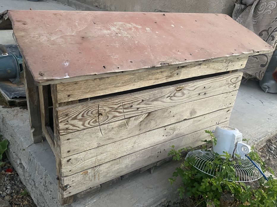 будка для сабаки