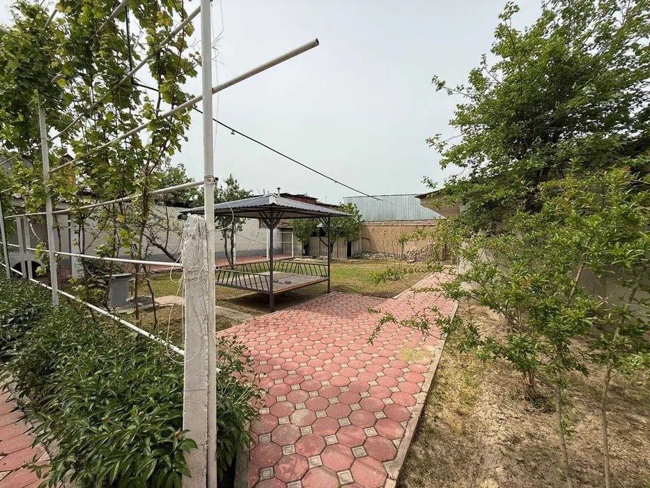 Первая линия Размер 20х31 метров Профессорский гр. Алмазар