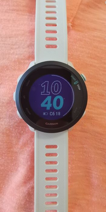 Спортивные часы Garmin Forerunner 55 White