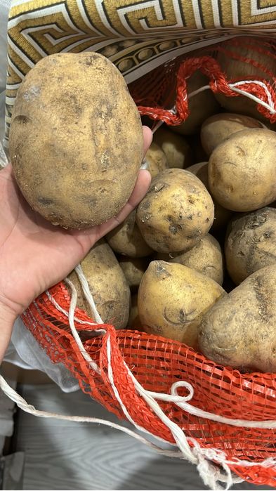 Продаю картошку домашная