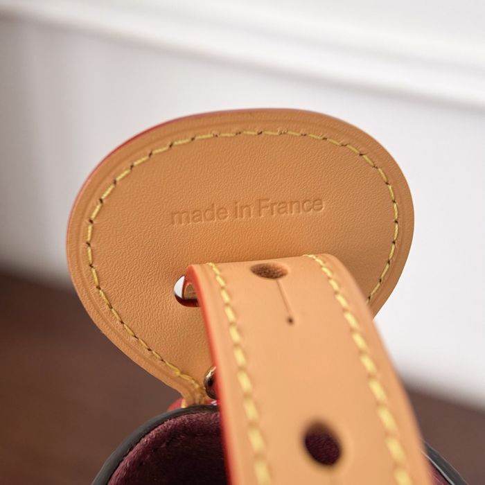 Geanta Louis Vuitton Carry All BB