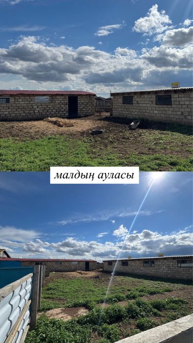 Ауылда Үй малымен сатамын!!