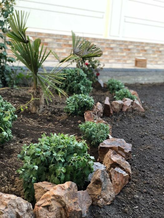 Gazon ekamiz sifatli