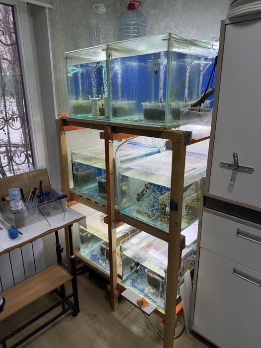 Продам аквариумы