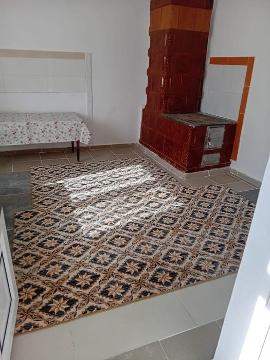 Casa plus teren de vanzare sat Viile comuna Fartanesti