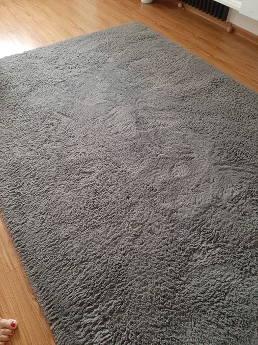 Cobir gri pufos.     .