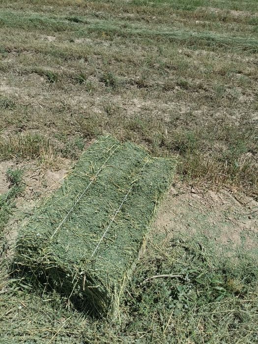 Беда прес 3 чи урим 30000, люцерна, пресс беда