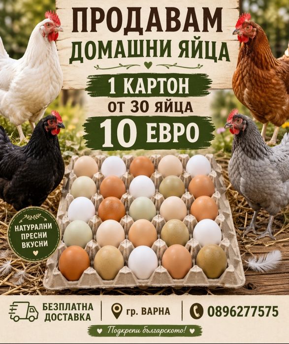 Продавам Петли и Кокошки и Ярки