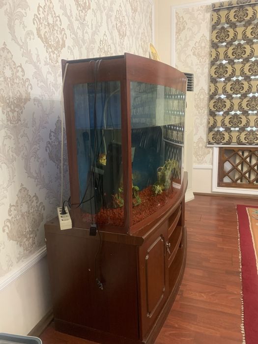 Аквариум б/у сотилади