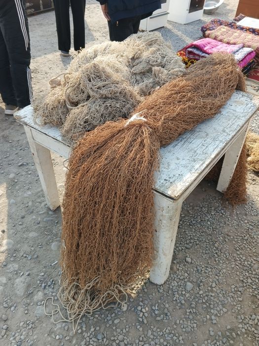 Балик тор бор куп