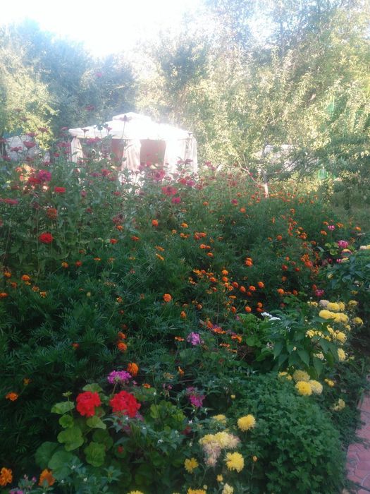 Дача на берегу Чарвака Сиджак