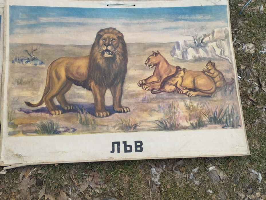 Стари учебни пана