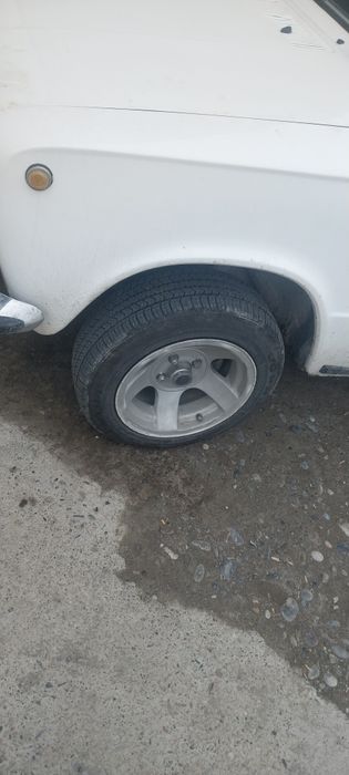 Диска ромашка новибалон